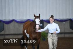 20YN_32409 thumbnail