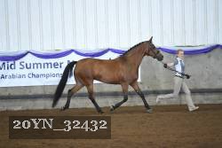 20YN_32432 thumbnail