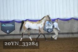 20YN_33284 thumbnail