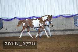 20YN_27711 thumbnail