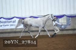 20YN_27814 thumbnail