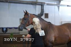 20YN_27827 thumbnail