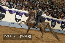 20YN_41085 thumbnail