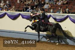 20YN_41162 thumbnail