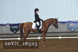 20YN_18525 thumbnail