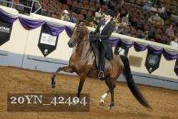 20YN_42404 thumbnail