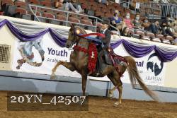 20YN_42507 thumbnail