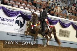 20YN_59192 thumbnail