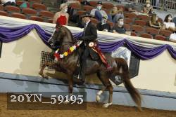 20YN_59195 thumbnail
