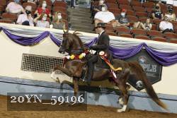 20YN_59196 thumbnail