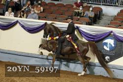 20YN_59197 thumbnail