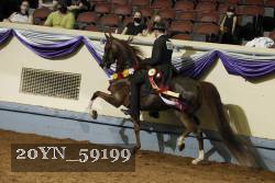 20YN_59199 thumbnail
