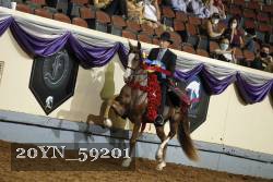 20YN_59201 thumbnail