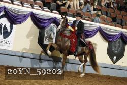 20YN_59202 thumbnail