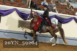 20YN_59204 thumbnail