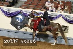 20YN_59206 thumbnail