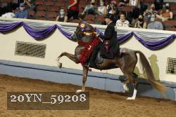 20YN_59208 thumbnail