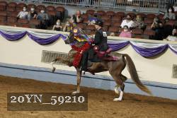 20YN_59210 thumbnail