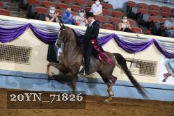 20YN_71826 thumbnail