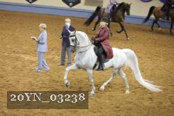 20YN_03238 thumbnail