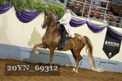 20YN_69312 thumbnail