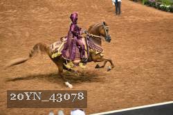 20YN_43078 thumbnail