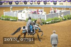 20YN_07791 thumbnail
