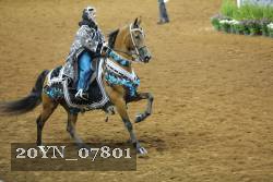 20YN_07801 thumbnail