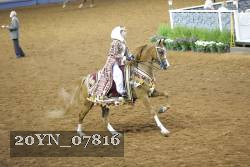 20YN_07816 thumbnail