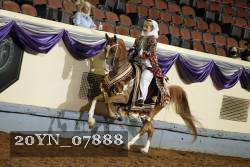 20YN_07888 thumbnail