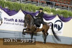 20YN_59275 thumbnail