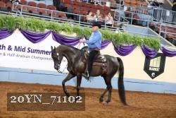 20YN_71102 thumbnail