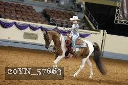 20YN_57863 thumbnail