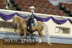 20YN_57934 thumbnail