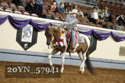 20YN_57941 thumbnail