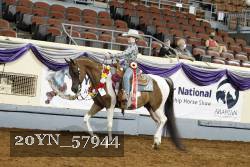 20YN_57944 thumbnail