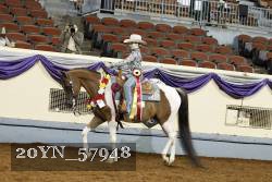 20YN_57948 thumbnail