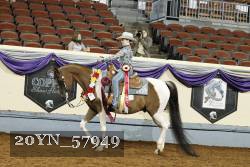 20YN_57949 thumbnail