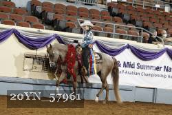 20YN_57961 thumbnail
