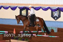 20YN_23869 thumbnail