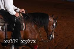 20YN_23872 thumbnail