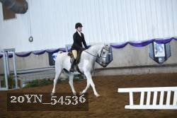 20YN_54536 thumbnail