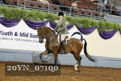 20YN_07100 thumbnail