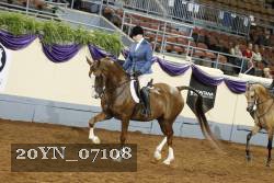 20YN_07108 thumbnail