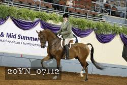 20YN_07112 thumbnail