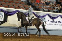 20YN_07131 thumbnail