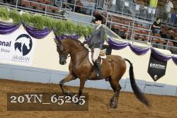 20YN_65265 thumbnail