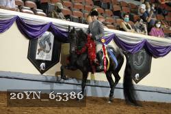 20YN_65386 thumbnail