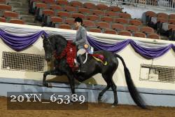 20YN_65389 thumbnail