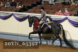 20YN_65392 thumbnail